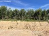 z4490237744587_51e93ba8550102bf8c8b615e262a6be5.jpg