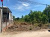 3600.jpg
