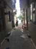 z6443585661637_966fc58039c9f1350cc26a821ac9bc0b.jpg