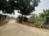 z6445303483331_fb5540aeda79427fcc44a019871bff90.jpg