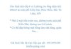 z6452653382530_a531e19c6927d71a33e4e268e317c6b0-500x350.jpg
