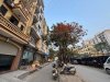 cho_thue_nha_ngo_o_to_tranh_phan_lo_den_lu_hoang_mai (1).jpg