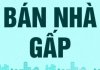 Ban nha gap.jpg