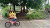 z6472774343061_88f0a737e84caed37245279de0af28e7.jpg