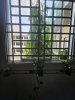 z6487308379868_8d174c3dc6c8c8d9b383b7ff1466ad39.jpg
