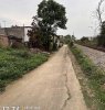 z6488933710538_8b70072cc6050dc3eda663b57f053a54-333x350.jpg