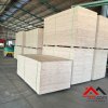 xuong-cho-thue-binh-my-bac-tan-uyen-binh-duong-3500-m2-gia-re-cho-thue-xuong-mien-nam-com (1).jpg
