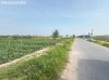 IMG_1555a.jpg