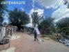z6586371427337_765c9f127ee8567a17726f9390d8be3c.jpg