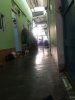 AHD1711111.jpg