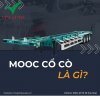 15-mooc-co-co-cho-cont-lanh-gia-tot-vpt-auto.jpg