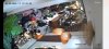 cho_thue_mat_pho_kinh_doanh_le_trong_tan_ha_dong (3).jpg