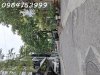 2ynd-E11F43F-m3mphlav_29_10.jpg