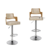 ghe-bar-than-polywood-mau-kem-CB2301-P.png