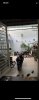 usx-F6DAD857-m96m4xlq_39_7.jpg
