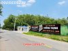 z6617391666454_a34f9eb06895b329a28345e9f484c10f.jpg
