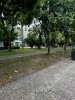 z6619620907518_9f633dd9c7faaea20ec60e332846f69f.jpg