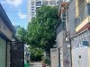 20250519_081517.jpg