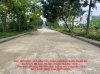 z6620530195873_47b952cc546d7b1ee5d358a1310bb60.jpg