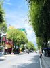 ban-dat-tho-cu-gan-ql-1k-linh-xuan-thu-duc-chi-5-ty-5 (2).jpg