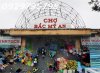gioi-thieu-cho-bac-my-an-min.jpg