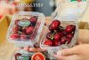 hop-dung-cherry.2.jpg