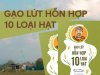 gao-lut-hon-hop-10-loai-hat (2).jpg