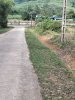 z6655875066911_430a4adb036cda722953862c1e48b1c2.jpg
