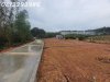 z6651672625740_acfd84d060045654ed1f1a10002181ae.jpg