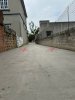 z6665184852580_a00b773beafd122a2994363fec68e109.jpg