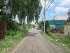 xuan thoi thuong 3.jpg