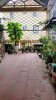 cho_thue_nha_ngo_553_giai_phong (6).jpg