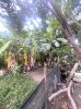 ban-dat-tho-cu-hiep-binh-chanh-thu-duc-chi-nhinh-16-ty (1).jpg