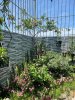 unnamed - 2025-06-04T074256.790.jpg