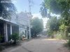 20250605_155438.jpg