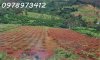 z6680492307120_672def445da9a95156c9e858db495756.jpg