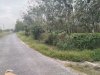 z6686497071997_259642407e887709589e2e883fbfd77f.jpg