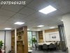 z6687161857840_6993022fc6ec849a5490d49524f7d73e.jpg