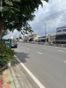 2.2 dang thuc vinh BL dao 1.jpg