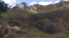 Screenshot 2025-07-01 213700.png
