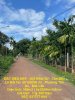 z6807669538890_1c44b8d11c9508ff288b9a0a41afefb.jpg