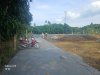 z6809534613380_30389d1344679e980da94ad38fcc5339.jpg