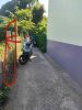 250d466a720cfb52a21d.jpg
