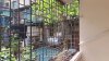 cho_thue_nha_tap_the_yen_bai (5).jpg