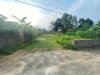 ban dat tien kien hon 2 ty_0963139980_2.jpg