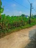 song giang 2.jpg
