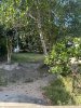 z6123873470853_302cf81ed6cf61fa15a8e1189a71af3b.jpg