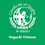 Noguchi Việt Nam